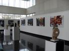 Foto exposição